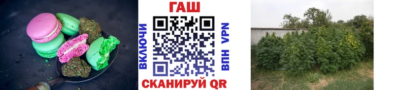 Canna-Cookies конопля  Приволжск 