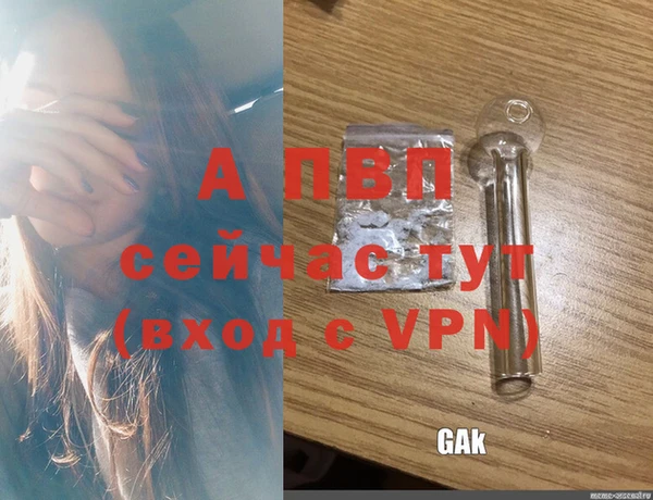 PSILOCYBIN Навашино