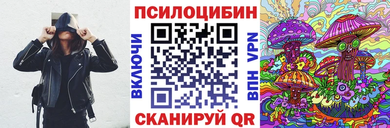 Галлюциногенные грибы GOLDEN TEACHER  купить наркотики цена  Приволжск 