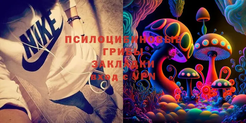 Галлюциногенные грибы Cubensis  Приволжск 